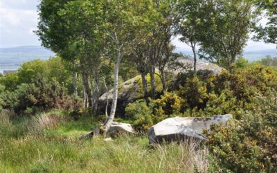 The Morton God Dolmen